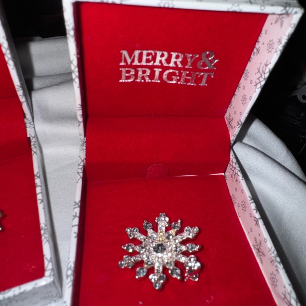 NIB Ice Red Cardinal and Snowflake Brooch Set ready to gift - Picture 2 of 9